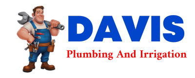 Trusted plumber in LEOLA